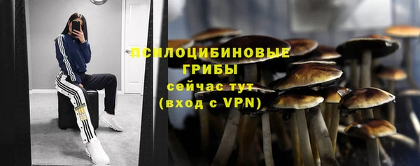 круглые Алексеевка