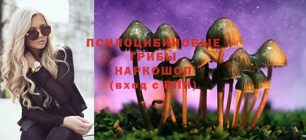 круглые Алексеевка