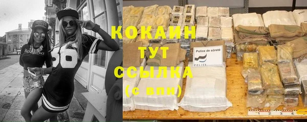 спиды Аркадак