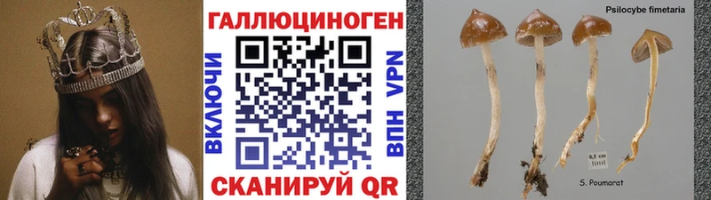 Псилоцибиновые грибы прущие грибы  купить   MEGA как войти  Сибай 